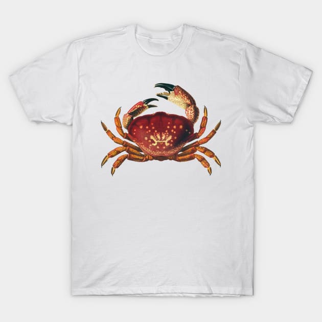 Giant Crab T-Shirt by Bugsponge